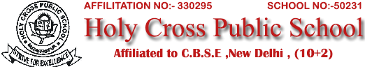 holy cross public school